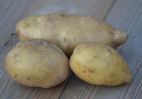 Как сварить картошку, чтобы она не потемнела. Почему картофель чернеет после варки. Можно ли его есть?