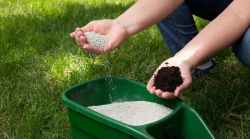 Прикормка для газона. Как и чем удобрять газон?