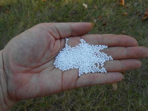 Газон пожелтел после удобрений. От чего появляется желтизна на всем газоне или на большей его части 08 Газон пожелтел после удобрений. От чего появляется желтизна на всем газоне или на большей его части 08