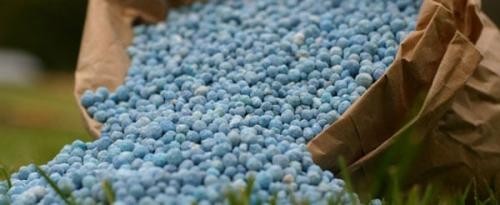 Газон осенью стрижка. Когда удобрять газон осенью? 04 Газон осенью стрижка. Когда удобрять газон осенью? 04