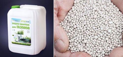 Как вносить удобрения на газон. Внесение удобрений по временам года, правила