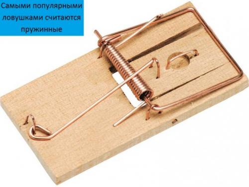 Как часто нужно проверять и обновлять приманки в мышоловках. Как зарядить