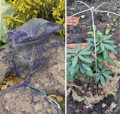 Какие материалы лучше всего использовать для утепления стволов деревьев. Торф, листва или хвойный опад? Чем утеплить корневую систему растений при укрытии на зиму