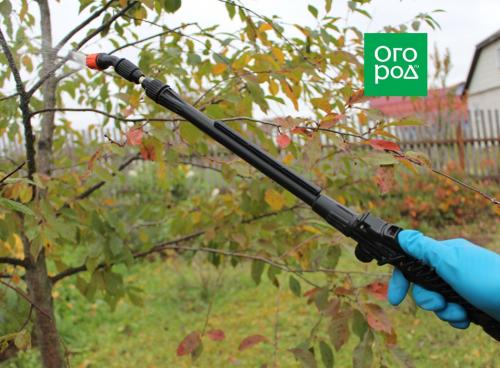 Как укрыть деревья и кустарники на зиму: пошаговая инструкция 09