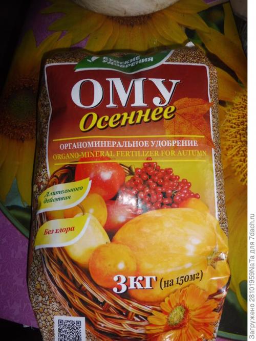 Как правильно укрывать молодые плодовые деревья. Укрываем и защищаем молодые деревья