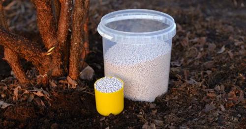 Нужно ли подкармливать плодовые деревья осенью, и если да то чем. Какими удобрениями подкармливать плодовые деревья осенью