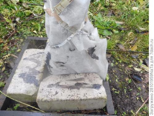 Как защитить молодые деревья от замерзания и повреждений морозом. Укрываем и защищаем молодые деревья