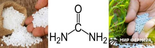 Что такое мочевина, как удобрение. Мочевина удобрение