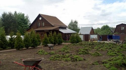 Причины пожелтения рулонного газона. Почему желтеет газон 01 Причины пожелтения рулонного газона. Почему желтеет газон 01