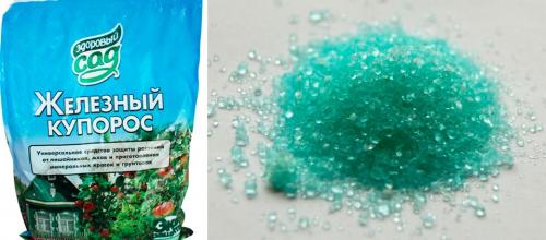 Как восстановить пожелтевший газон. Газон пожелтел: почему и что делать