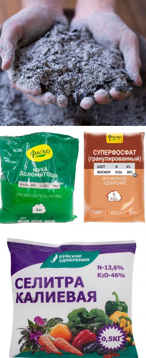 Желтеет газонная трава, что делать. Газон пожелтел: почему и что делать