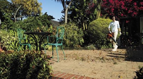 Желтые пятна и сухая трава на газоне. Боремся с желтыми пятнами на газонах 12