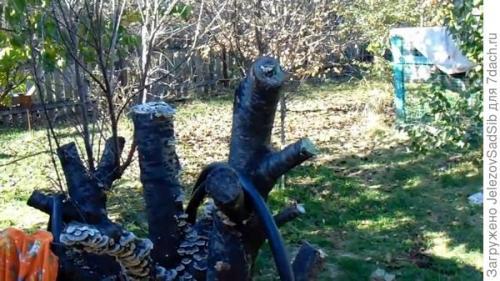 Как я готовлю свой сад к зиме. Подготовка сада к зиме - не делаем ничего