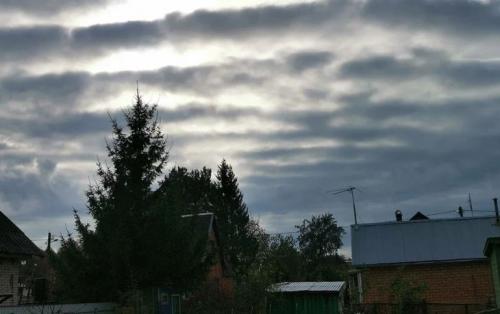 Достижение высокого урожая: 8 правил ухода за плодовыми деревьями 06