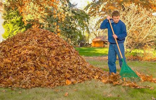 Какие способы защиты плодовых деревьев от вредителей существуют осенью. Осенняя обработка сада: эффективные приемы против болезней и вредителей
