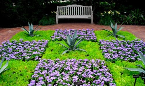 Какие цветы цветут в октябре. 10 растений, цветущих в октябре 01