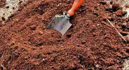 Полное руководство по подготовке плодово-ягодных культур к зиме 10