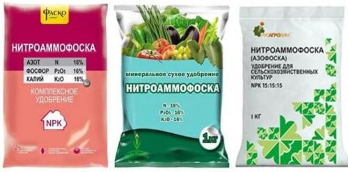 Нитроаммофоска для деревьев осенью. Нитроаммофоска: назначение препарата