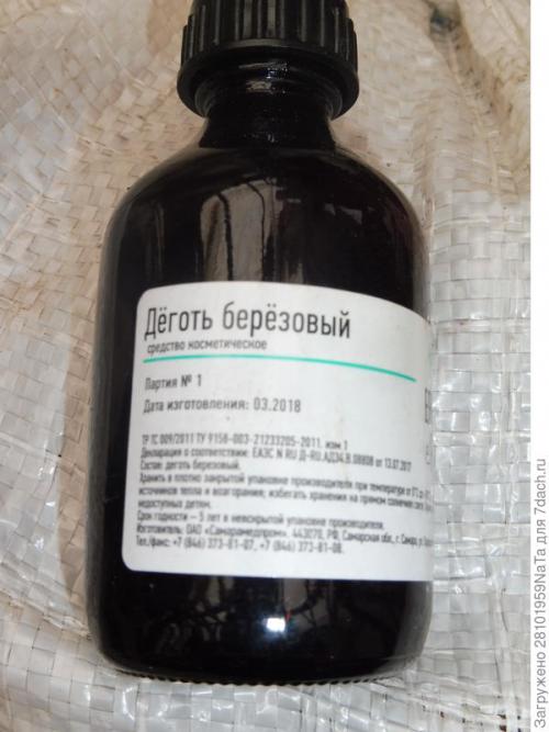 Березовый деготь для комнатных растений. Березовый деготь - скорая помощь для растений