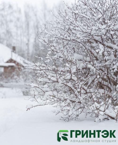 Полная инструкция: как подготовить молодой плодовый сад к зиме 17 Полная инструкция: как подготовить молодой плодовый сад к зиме 17