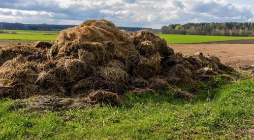 Чем удобрять осенью растения. Линейка удобрений для осеннего внесения 07
