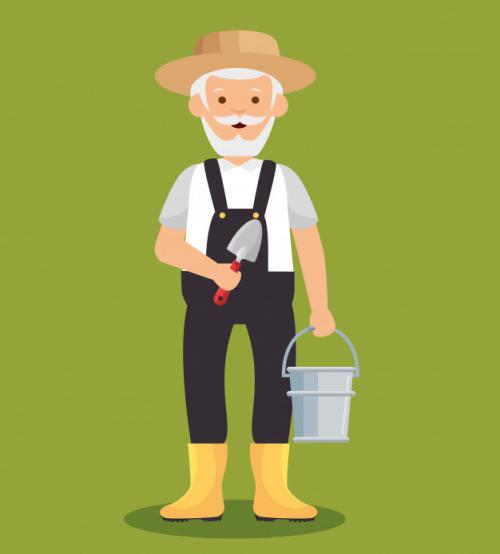 Какие растения не любят золу. Особенности применения золы: какие растения не любят золу?