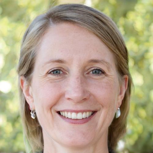 Какие растения не любят золу. Особенности применения золы: какие растения не любят золу?