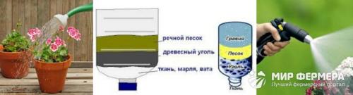 Осень или весна: лучшее время для пересадки лилий 04 Осень или весна: лучшее время для пересадки лилий 04