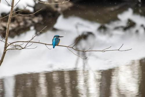 Приметы на 14 марта. Народные приметы на Евдокию 04 Приметы на 14 марта. Народные приметы на Евдокию 04