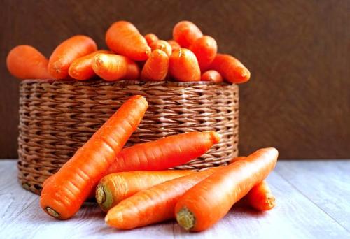 Морковь калгари. Лучшие сорта моркови на 2021 год: самые урожайные, вкусные, сочные, сладкие