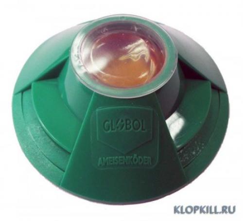 Быстро и навсегда: как избавиться от муравьев на вашем участке 04 Быстро и навсегда: как избавиться от муравьев на вашем участке 04