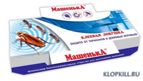 Быстро и навсегда: как избавиться от муравьев на вашем участке 03 Быстро и навсегда: как избавиться от муравьев на вашем участке 03