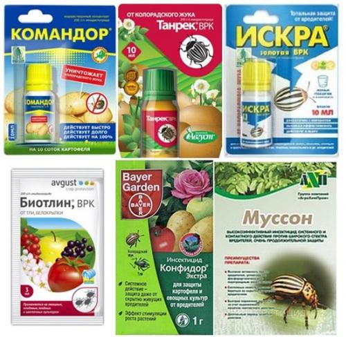 Как найти эффективное средство Для борьбы с вредителями на даче. Инсектициды Для борьбы с насекомыми-вредителями применяют специальные препараты —