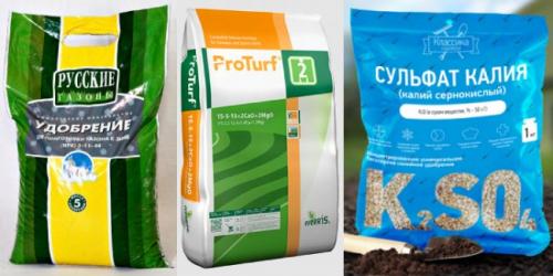 Вычесывание газона осенью. Подкормка и внесение удобрений