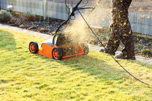 Уход за газоном осенью. Осенью уход сокращается до нескольких процедур 07