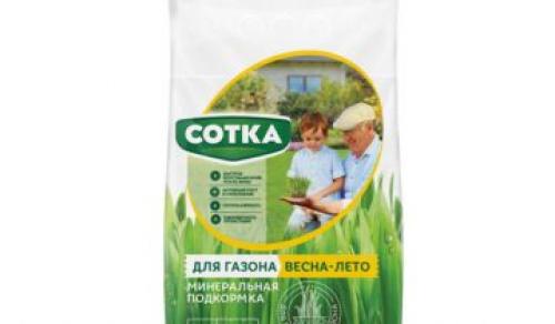 Уход за газоном осенью. Осенью уход сокращается до нескольких процедур 11