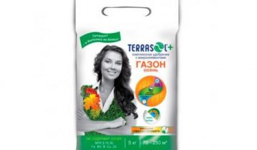 Уход за газоном осенью. Осенью уход сокращается до нескольких процедур 12