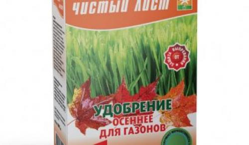 Уход за газоном осенью. Осенью уход сокращается до нескольких процедур 17