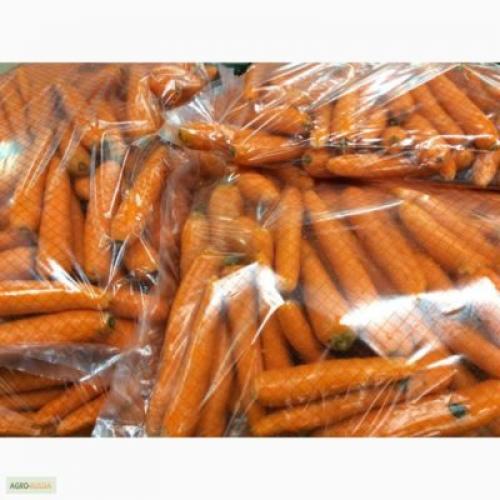 Чтобы морковь не росла корявая и рогатая. Почему морковь корявая? Как вырастить ровные корнеплоды? 05