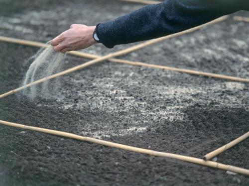 Как посеять газон осенью. Добавление статьи в новую подборку 11 Как посеять газон осенью. Добавление статьи в новую подборку 11