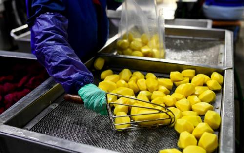 Морковь в вакууме. Особенности