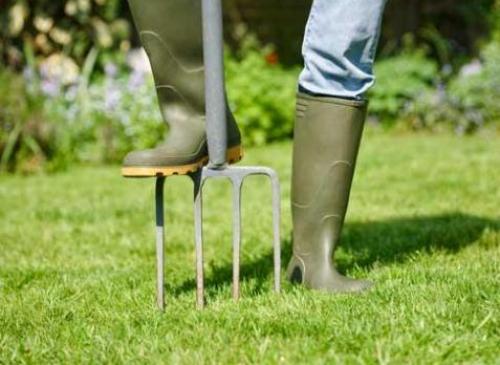 Нужно ли укрывать газон на зиму. Как подготовить газон к зиме?