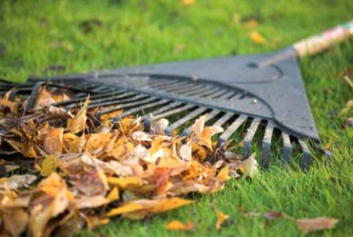 Нужно ли укрывать газон на зиму. Как подготовить газон к зиме?