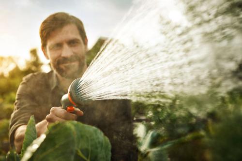 Осенний уход за газоном. Что делают с газоном осенью, инструкция по ухаживанию за газоном 11