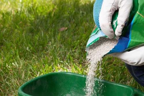 Осенний уход за газоном. Что делают с газоном осенью, инструкция по ухаживанию за газоном 07