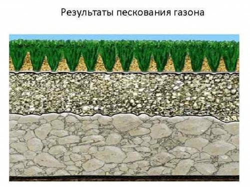 Скарификация газона осенью. Основные правила скарификации газона