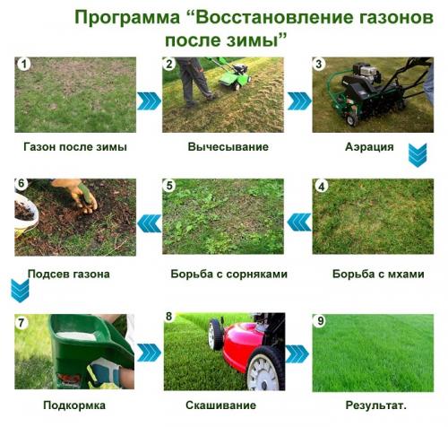 Скарификация газона осенью. Основные правила скарификации газона