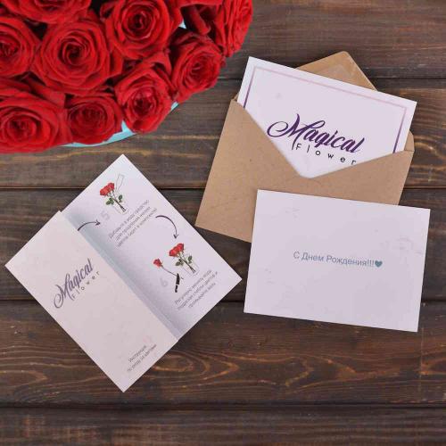 Аллергенные цветы в саду. Знать противника в лицо: растения-аллергены 04 Аллергенные цветы в саду. Знать противника в лицо: растения-аллергены 04