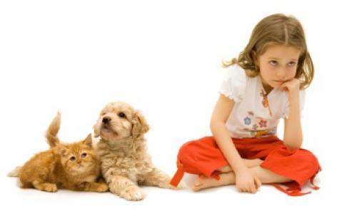 Аллергенные цветы в саду. Знать противника в лицо: растения-аллергены 03 Аллергенные цветы в саду. Знать противника в лицо: растения-аллергены 03