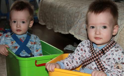 Почему из одного эмбриона получаются близняшки или тройняшки. Виды